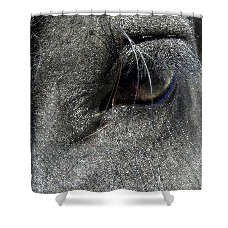 Eye Shower Curtain featuring the photograph Oh The Lashes by Kim Galluzzo Wozniak