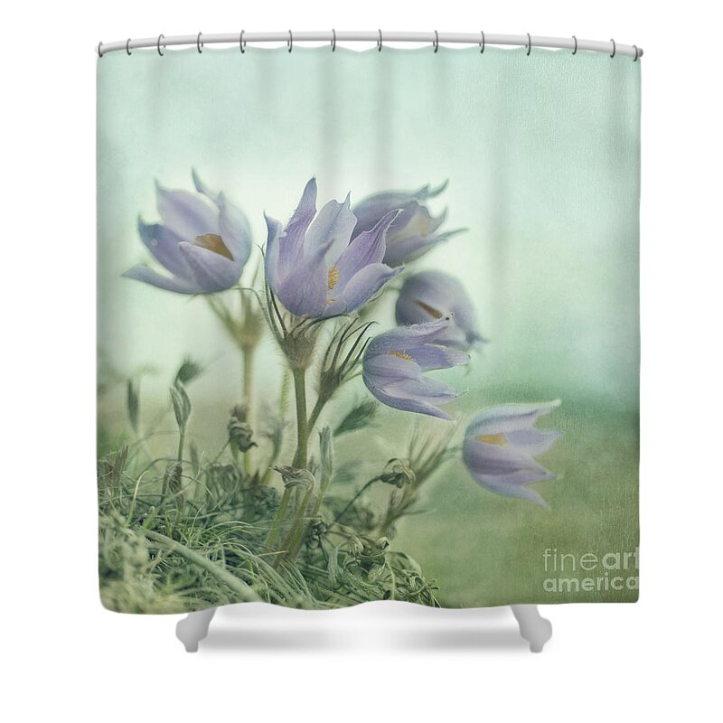 Recreation Site Shower Curtain featuring the photograph On The Crocus Bluff by Priska Wettstein