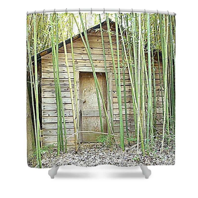 House Shower Curtain featuring the photograph One Room House with Bamboo by Renee Trenholm