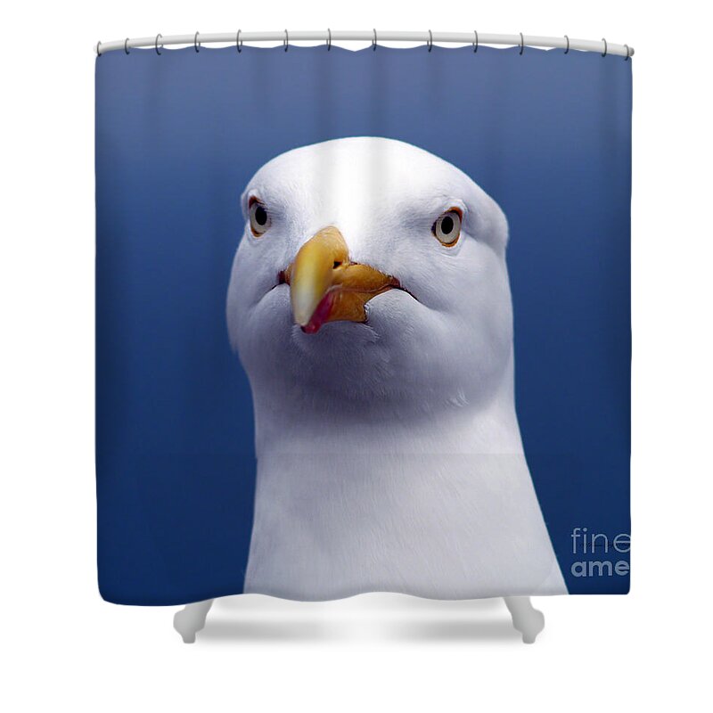 Fine Art Photography Shower Curtain featuring the photograph One Strange Bird by Patricia Griffin Brett