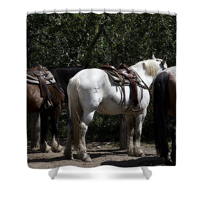 Trail Horses Shower Curtain featuring the photograph One White Trail Horse by Lorraine Devon Wilke