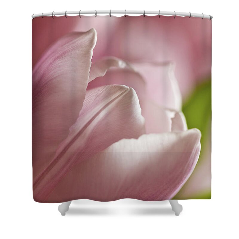 Clare Bambers Shower Curtain featuring the photograph Opening to the light by Clare Bambers
