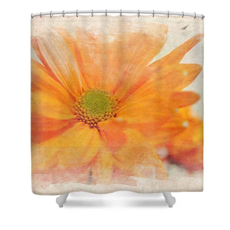 Beautiful Shower Curtain featuring the photograph Orange Daisy by Ricky Barnard