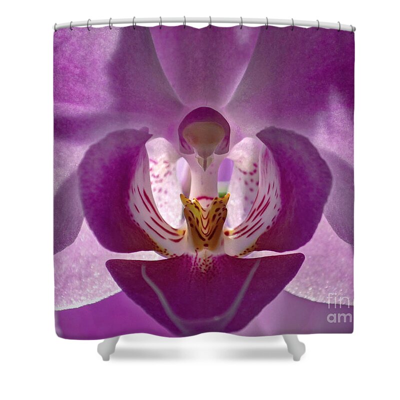 Color Photography Shower Curtain featuring the photograph Orchid  by Sue Stefanowicz
