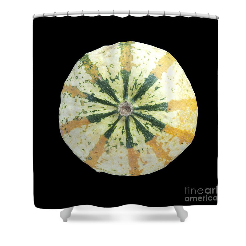 Melon Shower Curtain featuring the photograph Ornamental Melon by Heiko Koehrer-Wagner