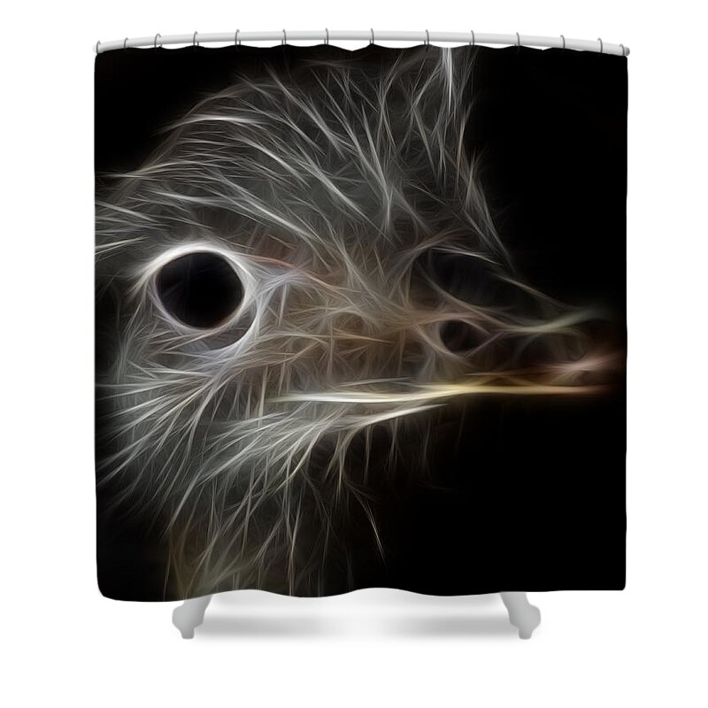 Ostrich Fractalius Shower Curtain featuring the photograph Ostrich Fractalius by Maggy Marsh