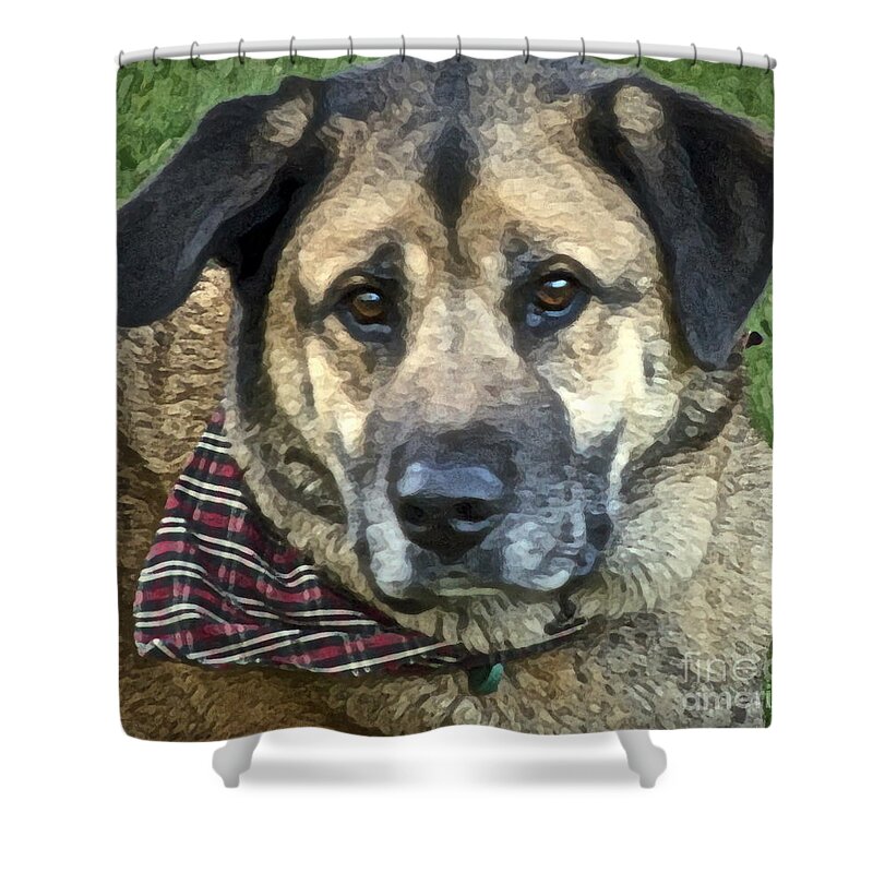 Shepherd Mix Shower Curtain featuring the photograph Our Goofy by Gwyn Newcombe