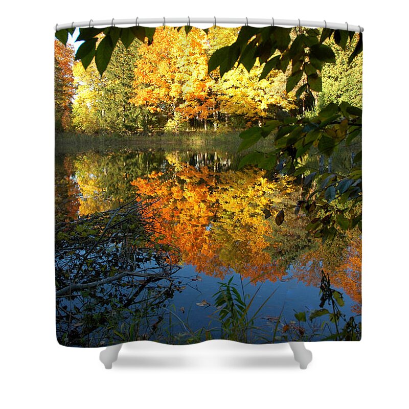 Usa Shower Curtain featuring the photograph Out of the Woods by LeeAnn McLaneGoetz McLaneGoetzStudioLLCcom
