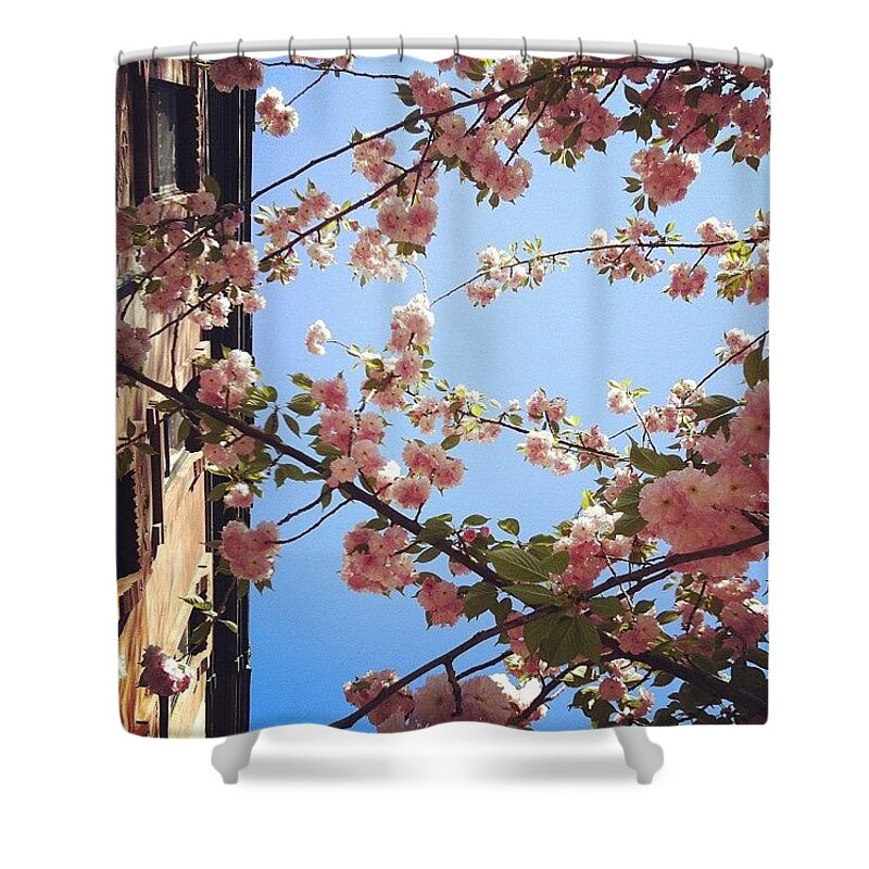 Cherry Shower Curtain featuring the photograph Outside Is The Best Side by Katie Cupcakes