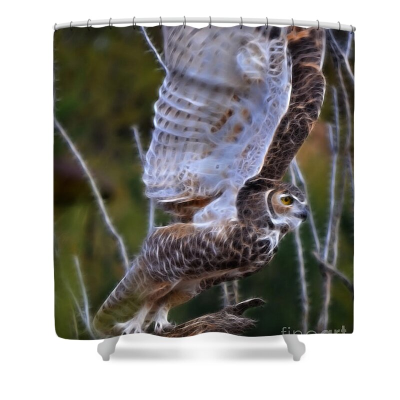 Fine Art Photography Shower Curtain featuring the photograph Owl Fractal by Donna Greene