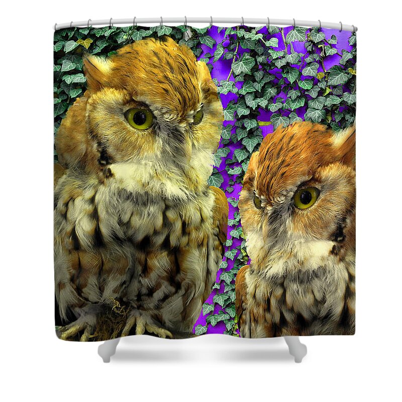 Allegory Shower Curtain featuring the photograph Owl Look by Lynda Lehmann