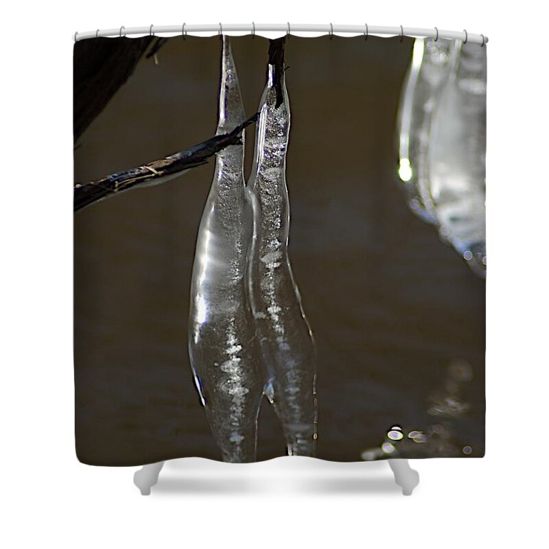 Ice Shower Curtain featuring the photograph Pair by Joseph Yarbrough