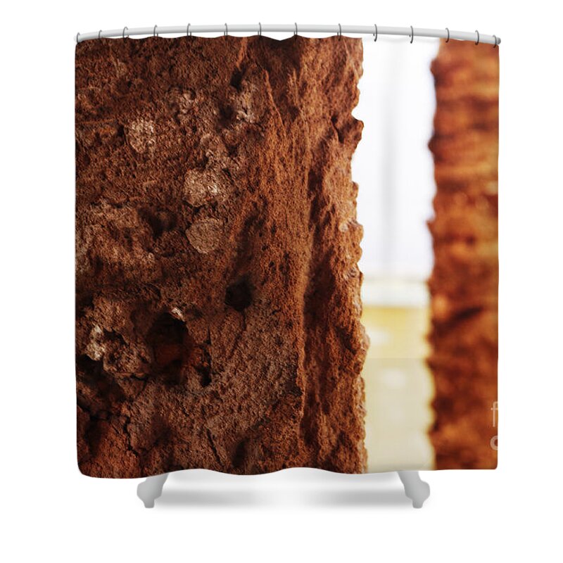 Palmera Shower Curtain featuring the photograph Palm and wall 2 by Agusti Pardo Rossello