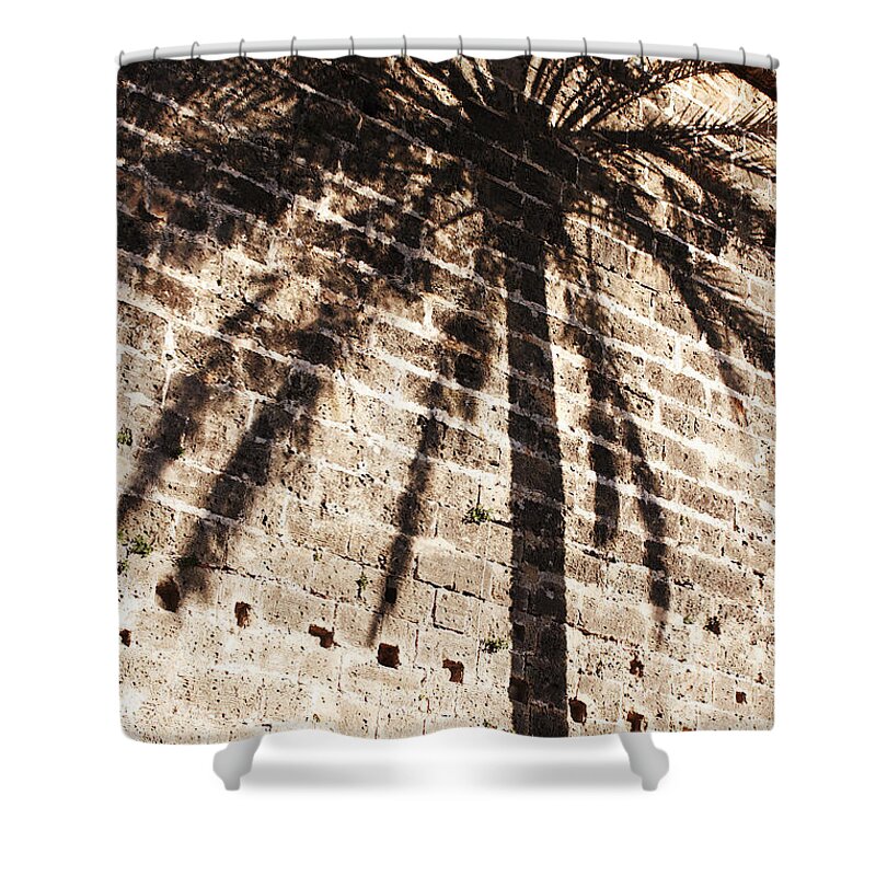 Palmera Shower Curtain featuring the photograph Palm shadow by Agusti Pardo Rossello
