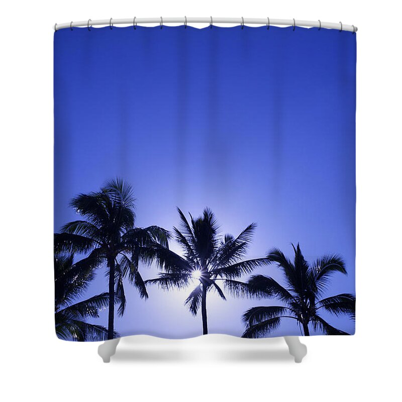 Backlit Shower Curtain featuring the photograph Palm Tree Silhouettes by Kicka Witte - Printscapes