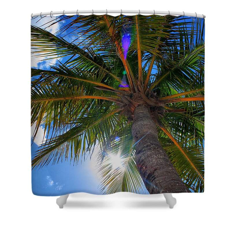 Palm Shower Curtain featuring the photograph Palms Up by Patrick Witz