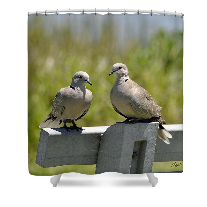 Doves Shower Curtain featuring the photograph Palomas by Maria Nesbit