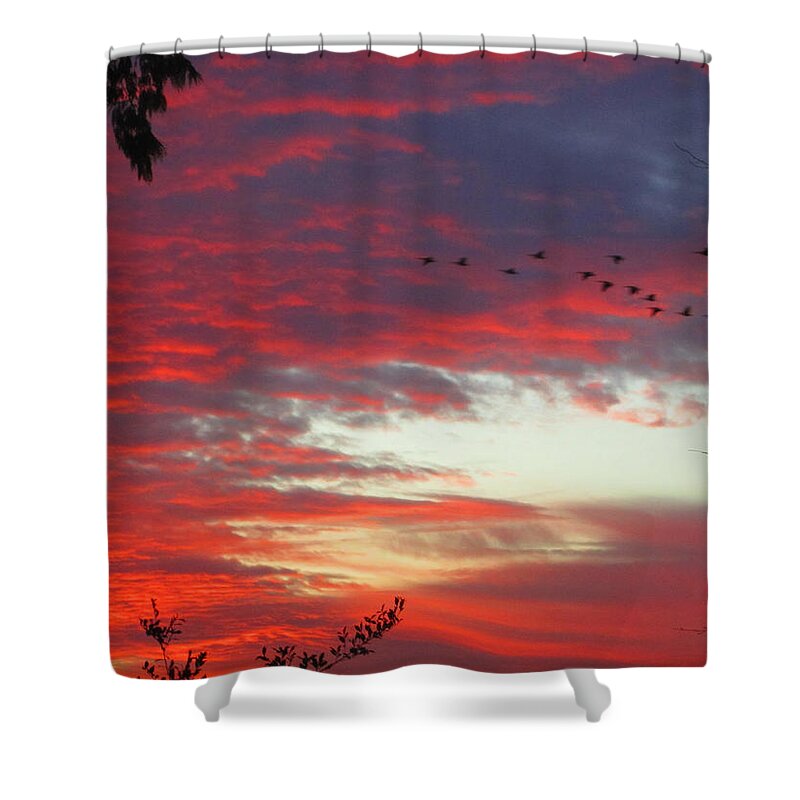 Peach Shower Curtain featuring the photograph Papaya Colored Sunset with Geese by Kym Backland