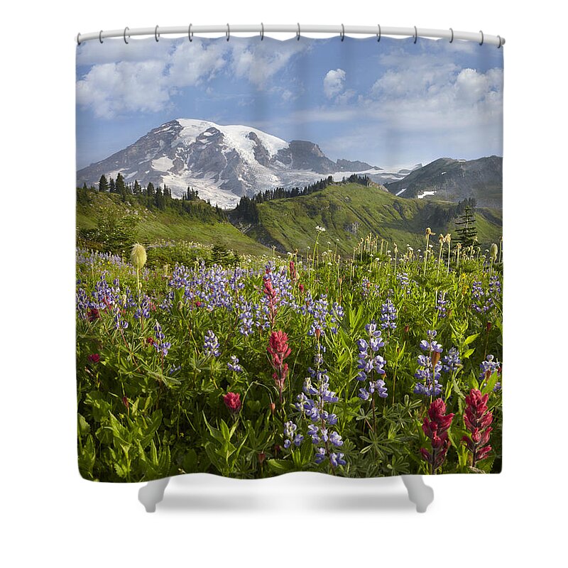 00437809 Shower Curtain featuring the photograph Paradise Meadow And Mount Rainier Mount by Tim Fitzharris