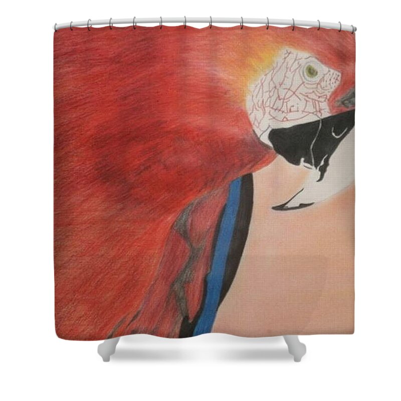 Parrot Shower Curtain featuring the drawing Parrot by Samantha Lusby