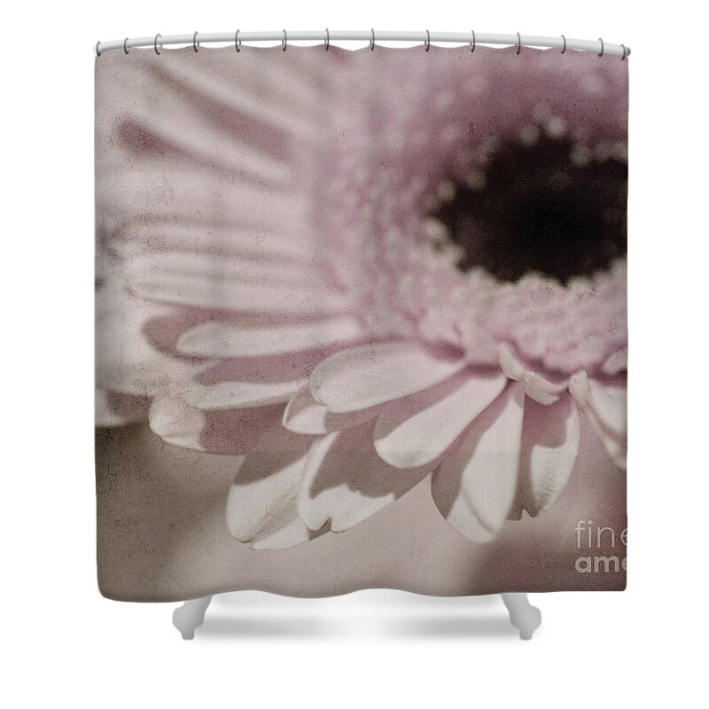 Pink Shower Curtain featuring the photograph Passionate by Traci Cottingham
