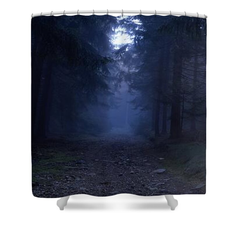 Nature Shower Curtain featuring the photograph Path through a misty forest by Ulrich Kunst And Bettina Scheidulin