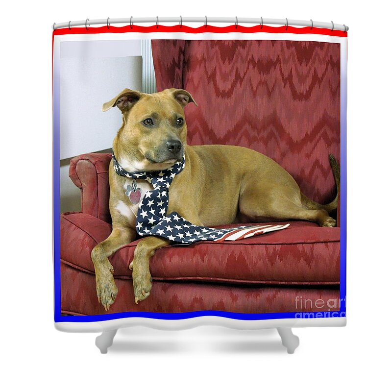 Dog Shower Curtain featuring the photograph Patriotic by Renee Trenholm