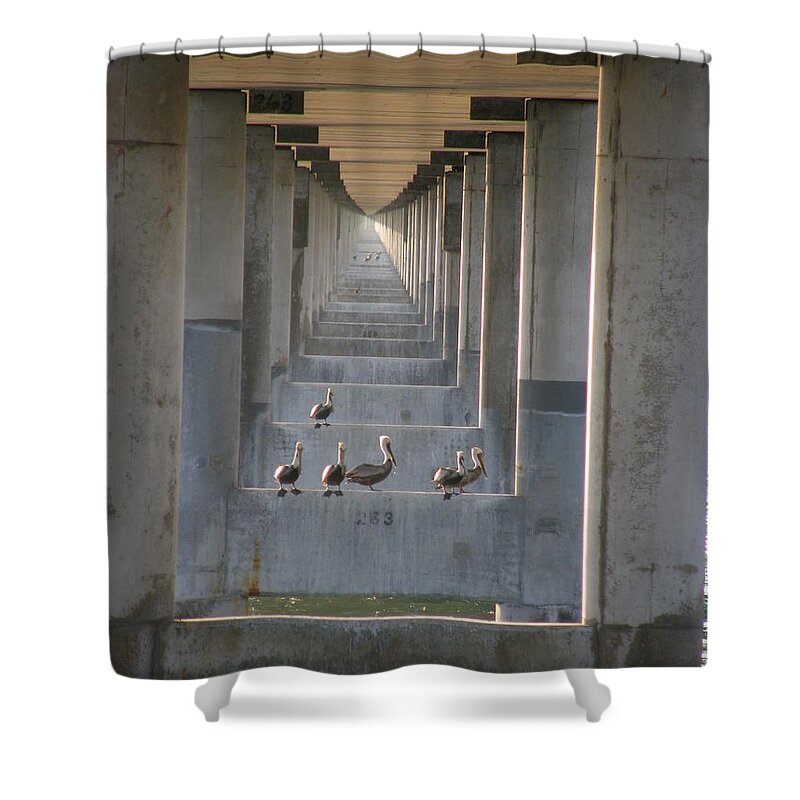 Architecture Shower Curtain featuring the photograph Pelican perch with seven mile perspectives by Kimberly Mohlenhoff