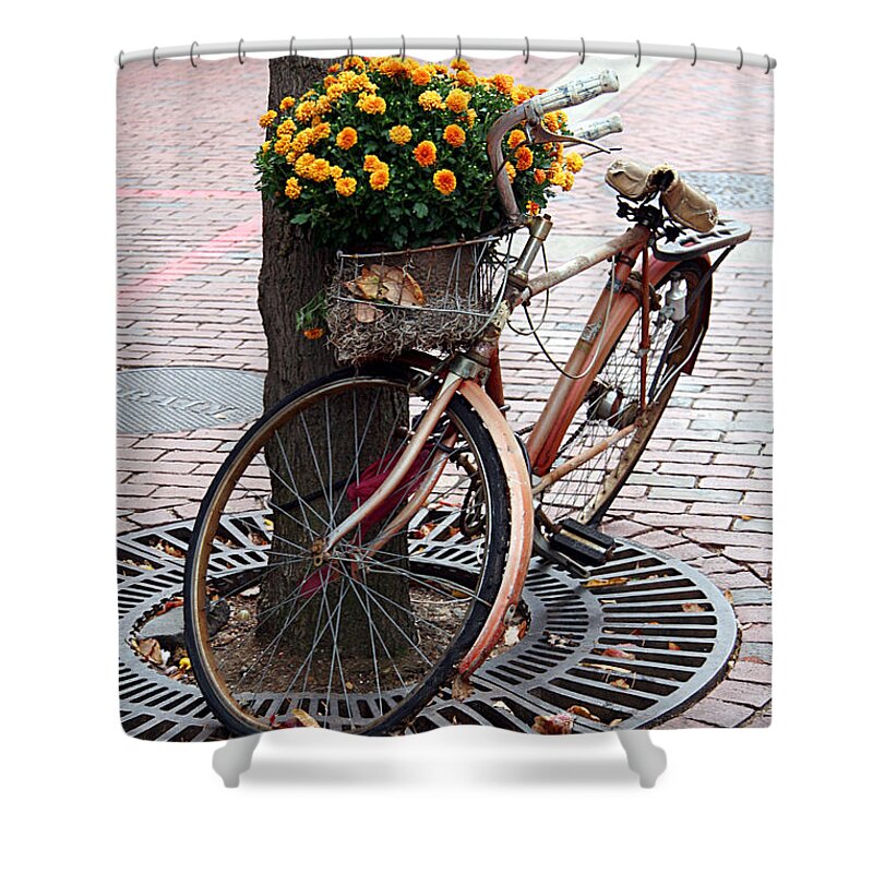 Fall Foliage Shower Curtain featuring the photograph Penny for your thoughts by Brenda Giasson