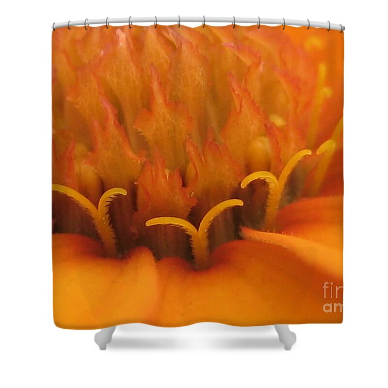 Flower Shower Curtain featuring the photograph Orange Flower Petals by Susan Carella
