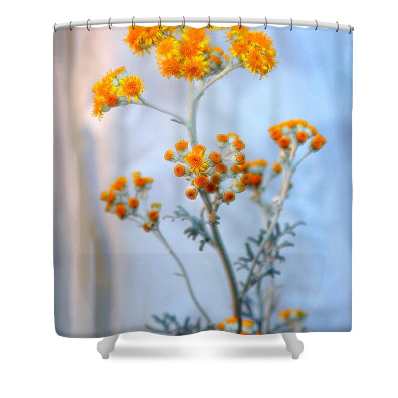 Petite Shower Curtain featuring the photograph Petite Bursts of Sunshine by Patrick Witz