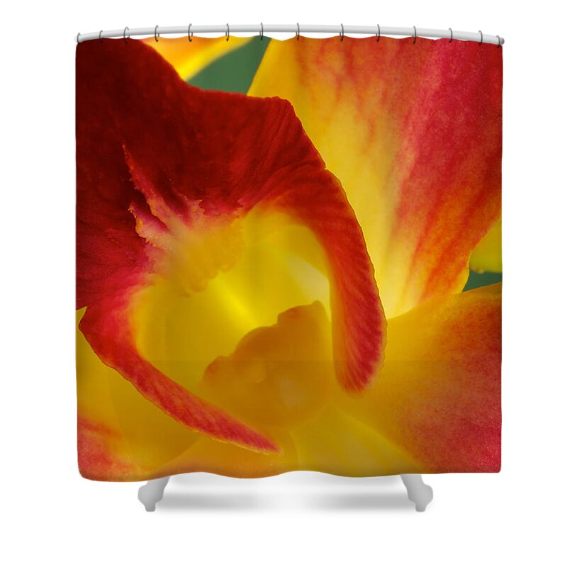 Dendrobium Shower Curtain featuring the photograph Photograph of a Hope orchid Flower by Perla Copernik