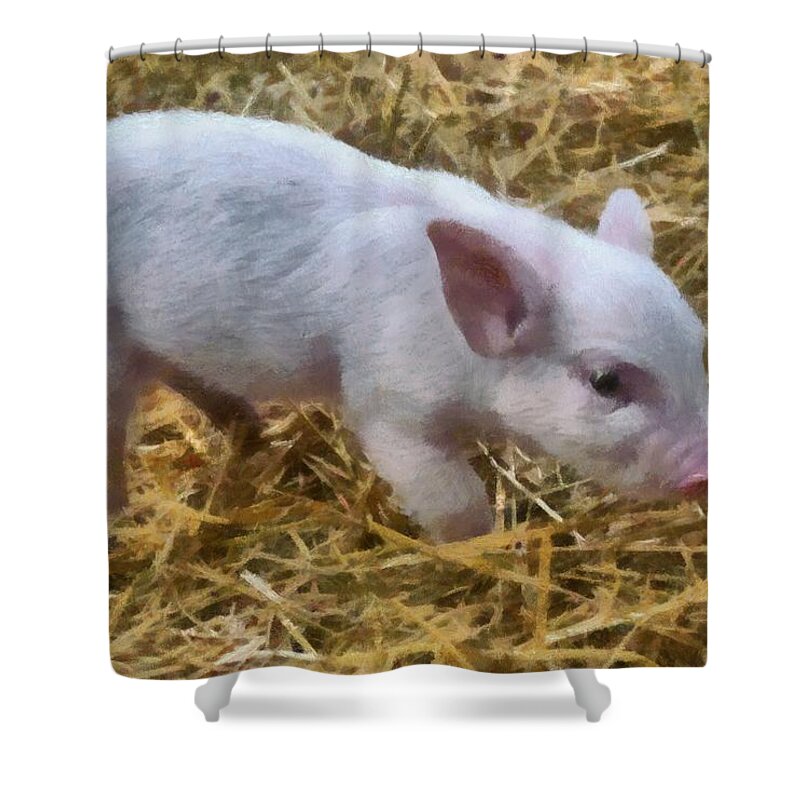 Grass Shower Curtain featuring the photograph Piglet by Michelle Calkins