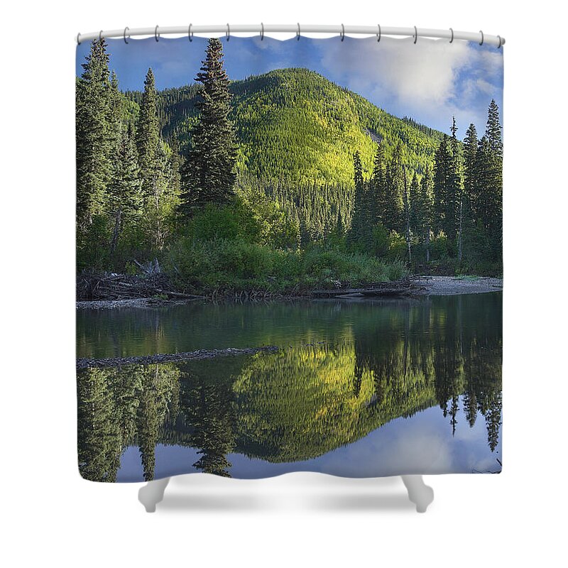 00486955 Shower Curtain featuring the photograph Pine River Hart Ranges British Columbia by Tim Fitzharris