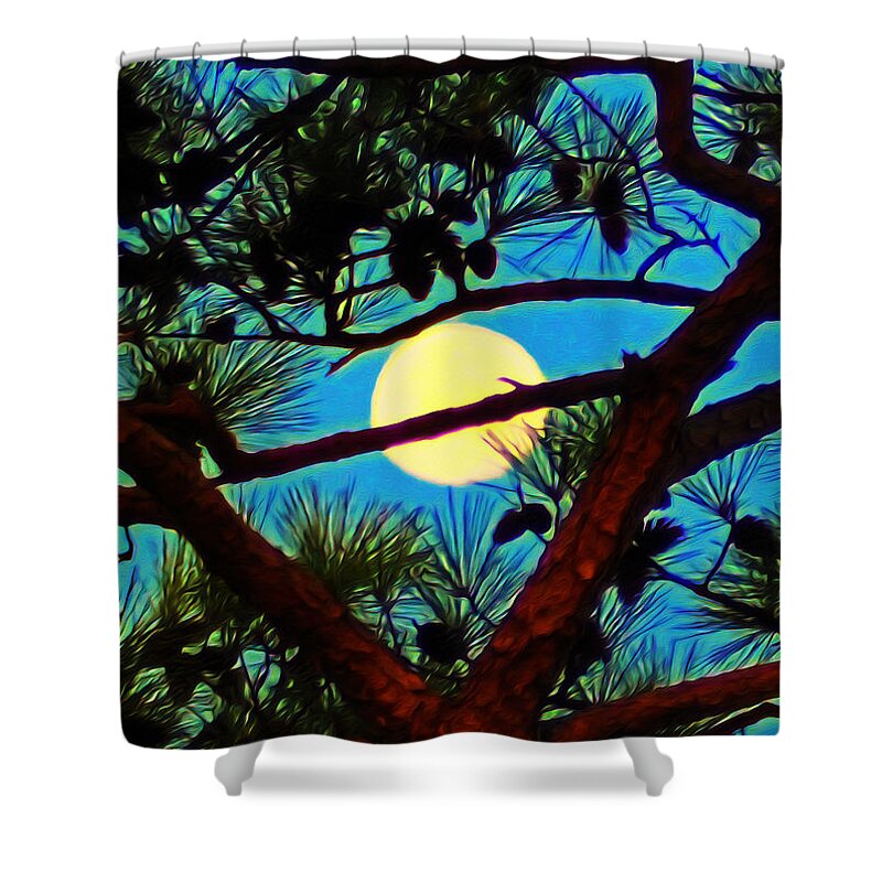 Pine Tree Moon Shower Curtain featuring the photograph Pine Tree Moon by Bill Cannon