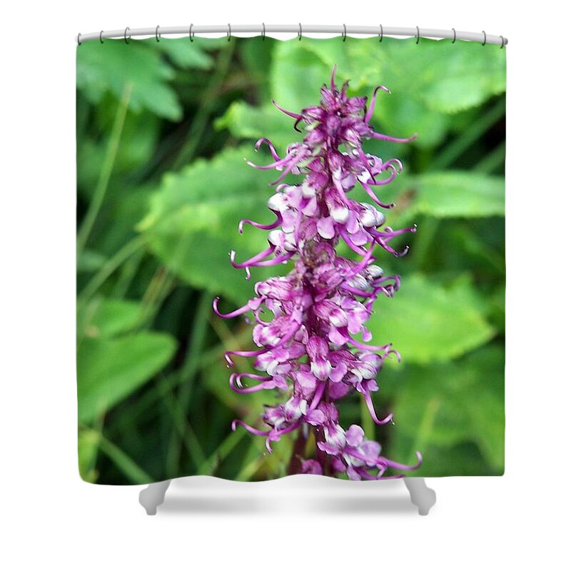 Wildflowers Shower Curtain featuring the photograph Pink Elephants by Dorrene BrownButterfield