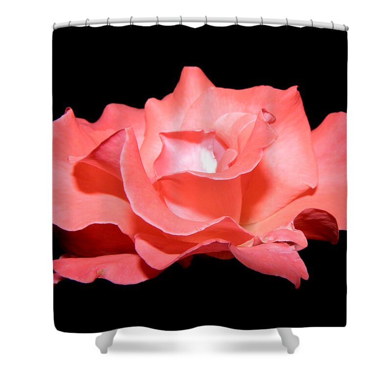 Flower Shower Curtain featuring the photograph Pink Floater by Kim Galluzzo