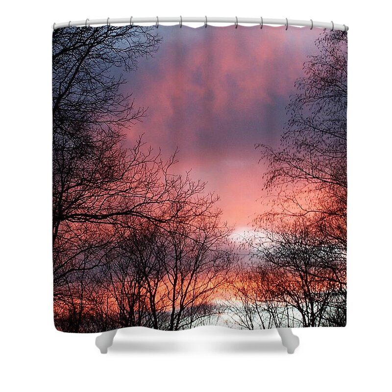 Pink Shower Curtain featuring the photograph Pink Forever by Kim Galluzzo Wozniak