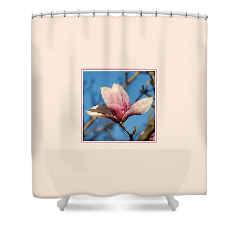 Flower Shower Curtain featuring the photograph Pink Magnolia Photo Square by Jai Johnson