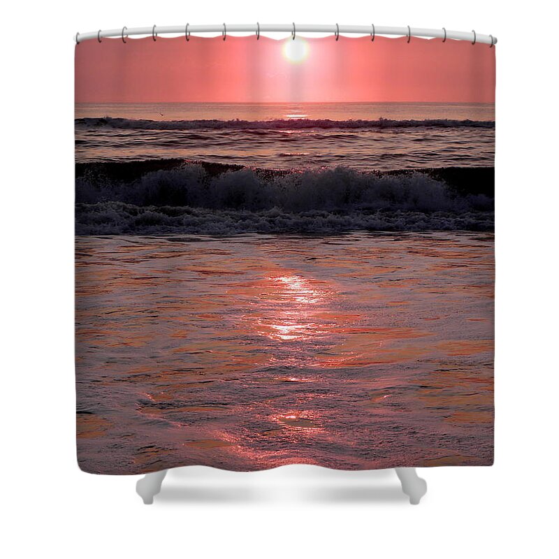 Pink Shower Curtain featuring the photograph Pink Rise by Kim Galluzzo Wozniak