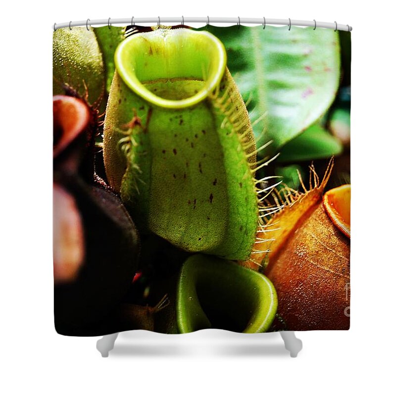 Pitcher Plant Cluster Shower Curtain featuring the photograph Pitcher Plants by Angela Murray