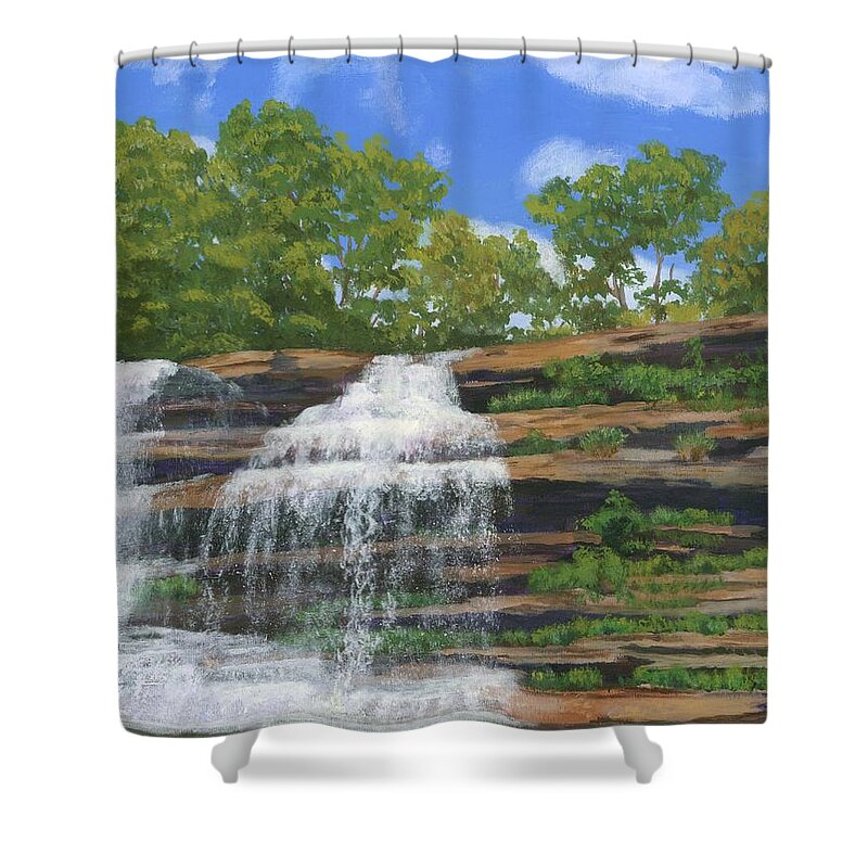Waterfalls Shower Curtain featuring the painting Pixley Falls by Lynne Reichhart
