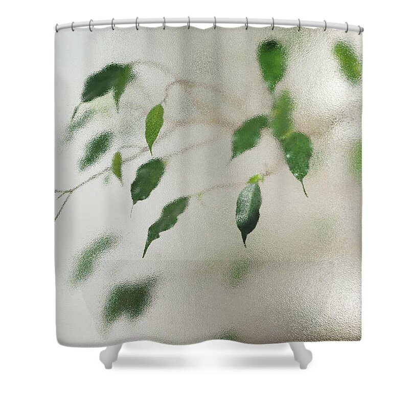 Plant Shower Curtain featuring the photograph Plant behind glass by Matthias Hauser