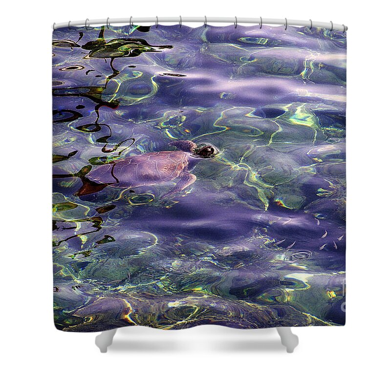 Sea Turtle Shower Curtain featuring the photograph playing at Crete by Casper Cammeraat