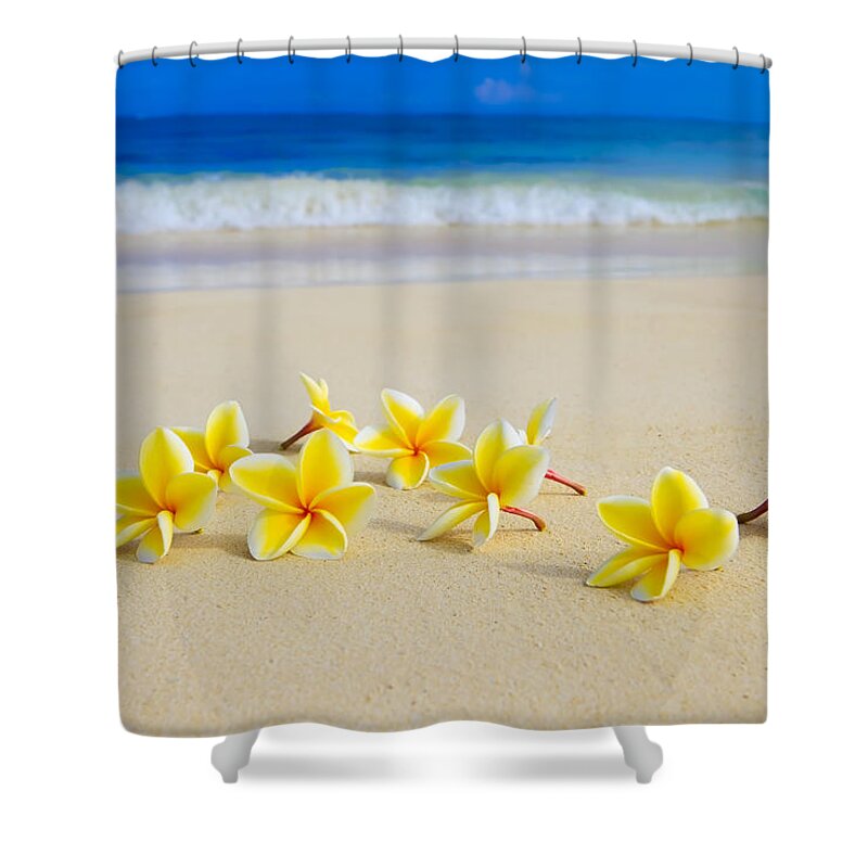 Background Shower Curtain featuring the photograph Plumerias on Beach II by Tomas del Amo