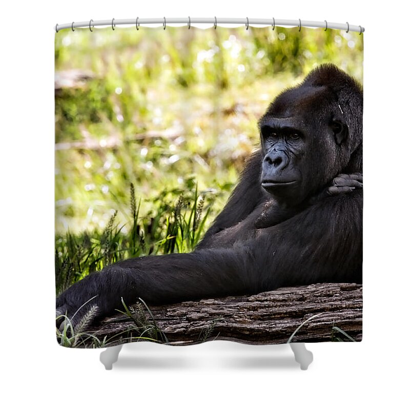 Okc Shower Curtain featuring the photograph Pondering by Lana Trussell
