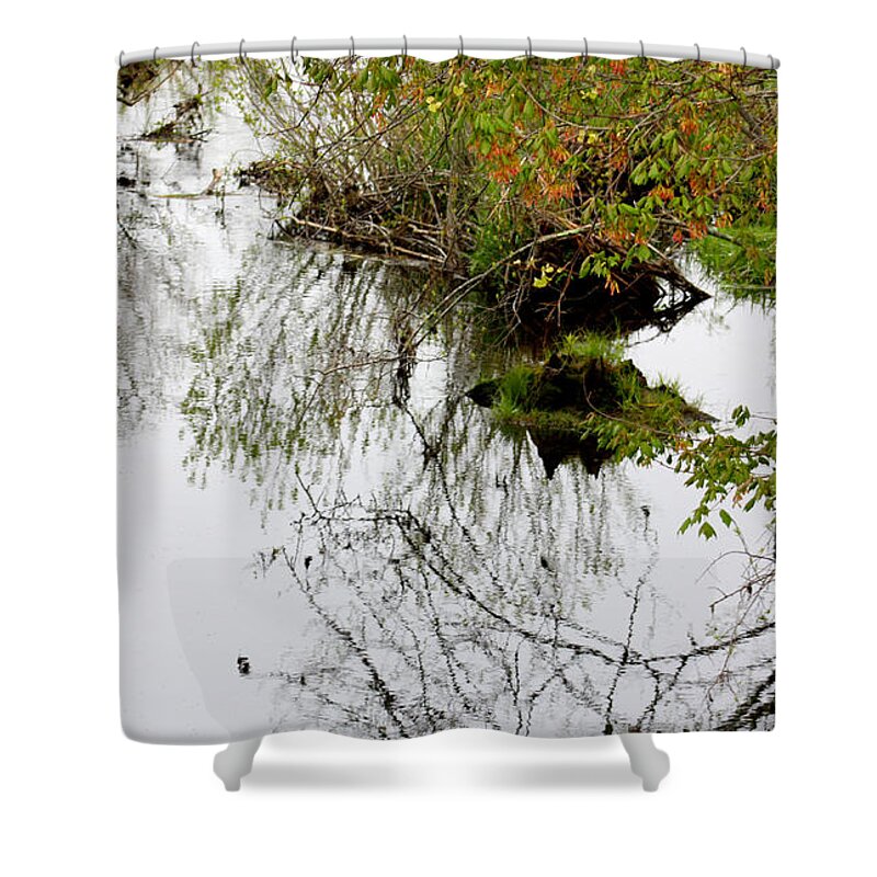 Color Photography Shower Curtain featuring the photograph Pondscape by Kim Galluzzo Wozniak