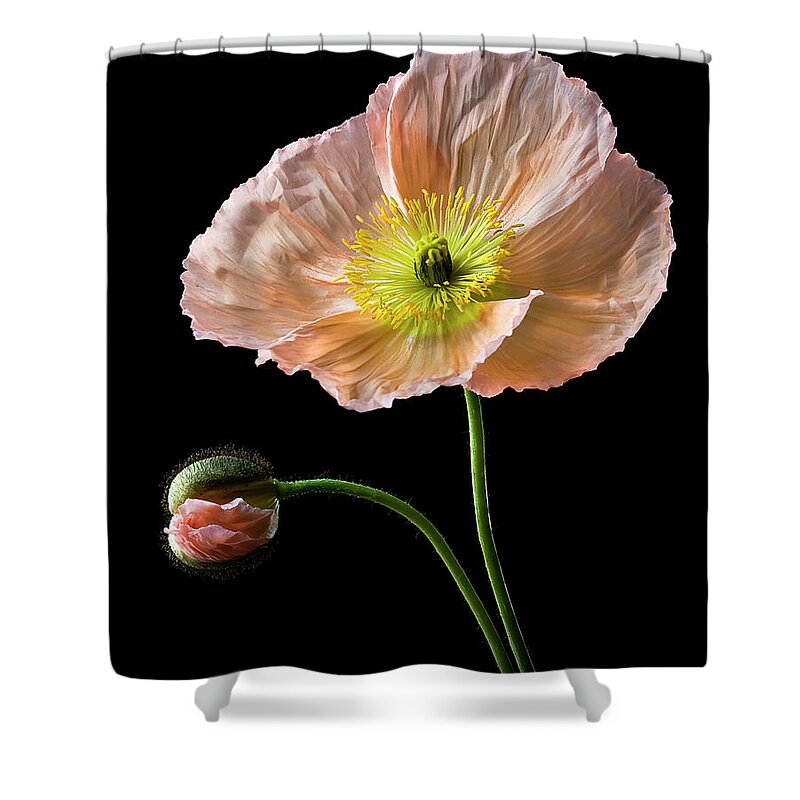 Flower Shower Curtain featuring the photograph Poppy by Endre Balogh