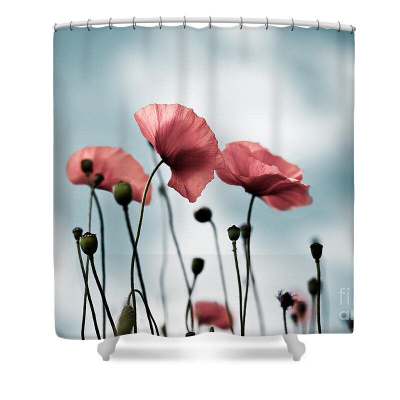 Poppy Shower Curtain featuring the photograph Poppy Flowers 07 by Nailia Schwarz