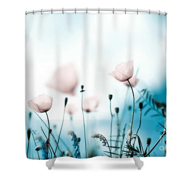 Poppy Shower Curtain featuring the photograph Poppy Flowers 11 by Nailia Schwarz